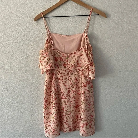 For Love & Lemons Floral Ruffle Mini Dress — Blush with Red Print - Picture 4 of 6